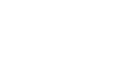 NexoFox by NexoTrainPro